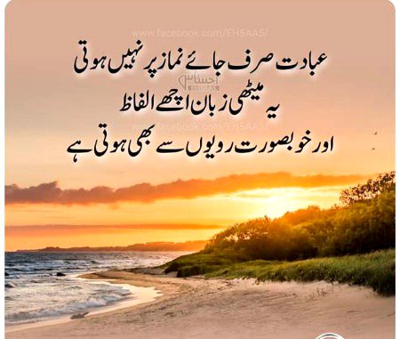 Islamic Quotes image