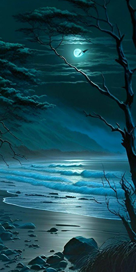 Beautiful Nature image