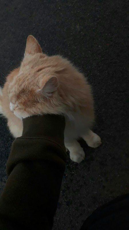 Beautiful Nature image