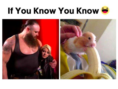 Memes & Satire image