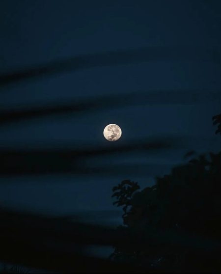 Beautiful