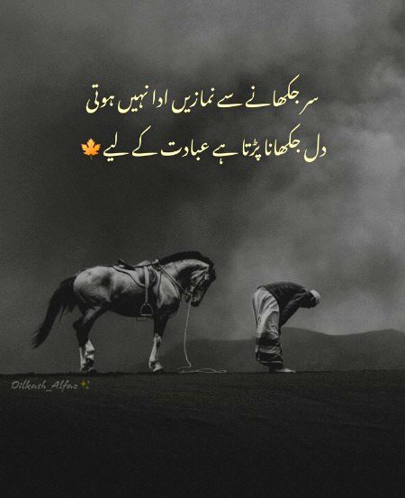 Islamic Quotes image