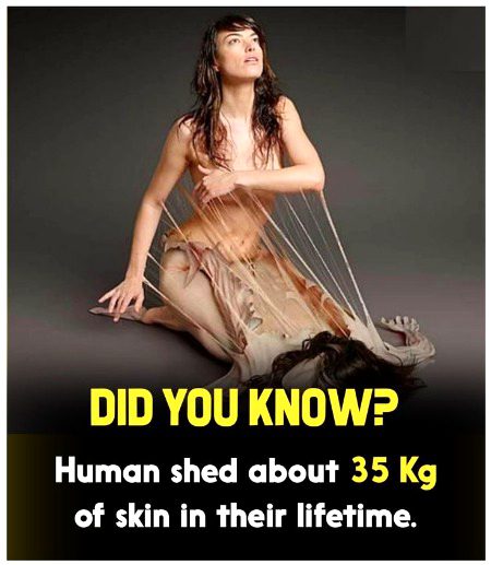 Interesting Posts image
