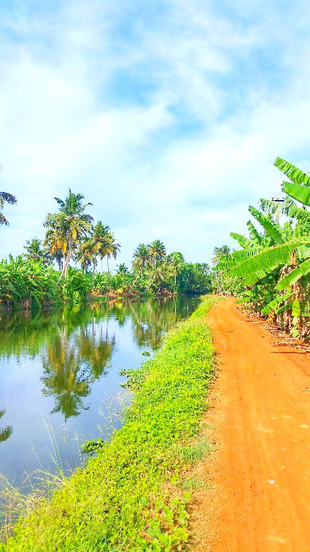 BEAUTIFUL NATURE