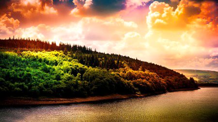 Beautiful Nature image