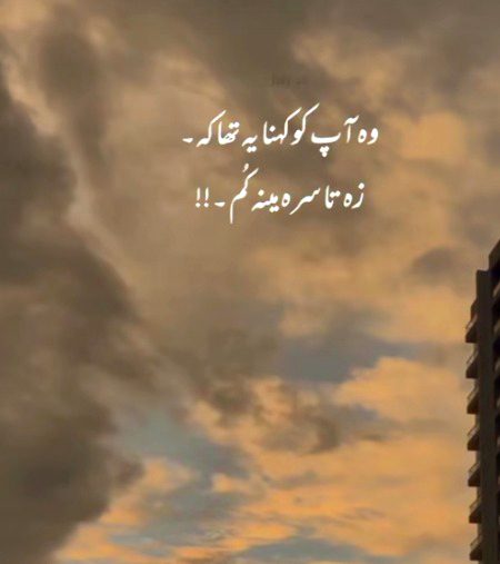 poѕт вy мalιĸ.ғaιѕѕι