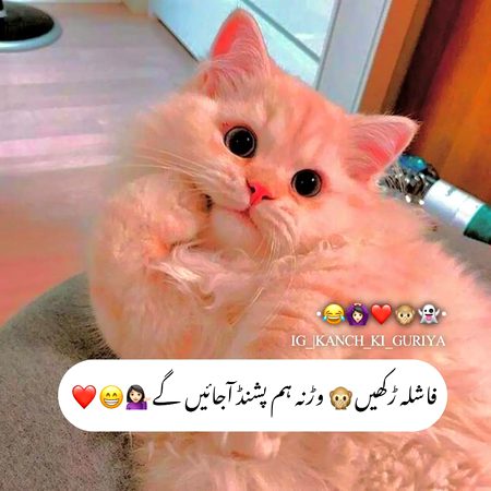 Jokes image