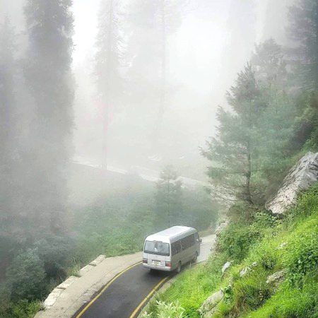 Beautiful Nature image