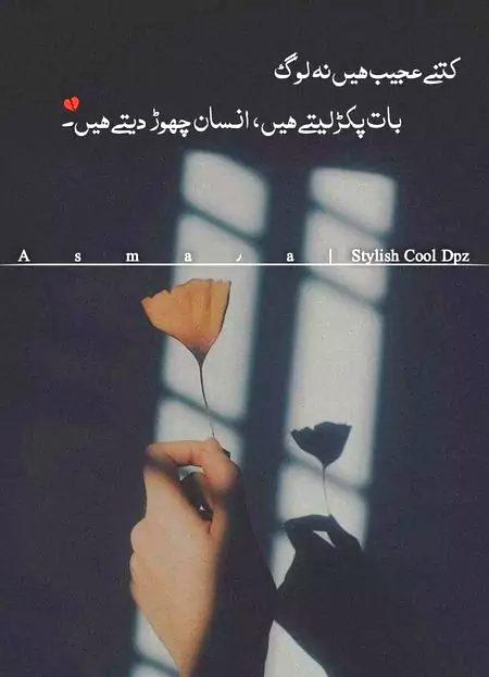 Kitne ajeeb log😏😏