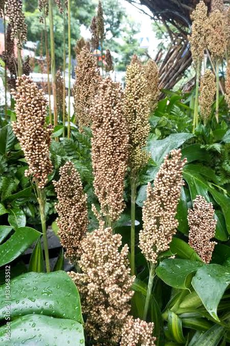 Beautiful Nature image