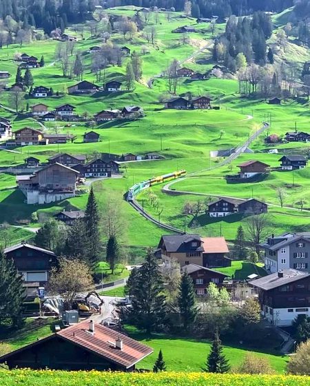 Beautiful Nature image