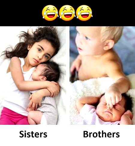 Memes & Satire image