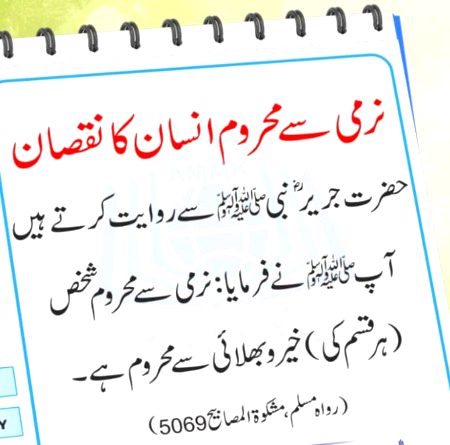نرمی اختیار کرو