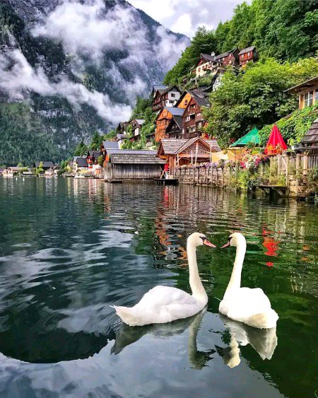 Beautiful Nature image