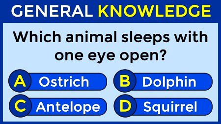 Knowledge Test image
