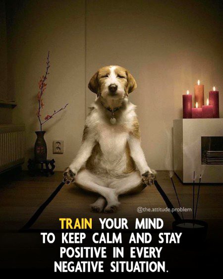 Life Advice image