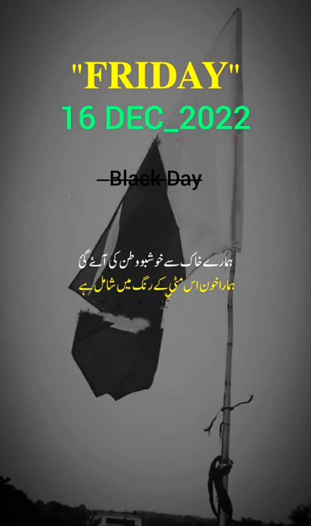 ہماری خاک سے خوشبو وطن کی آۓ گی۔۔
🖤ہمارا خون اس مٹی کے رنگ میں شامل ہے