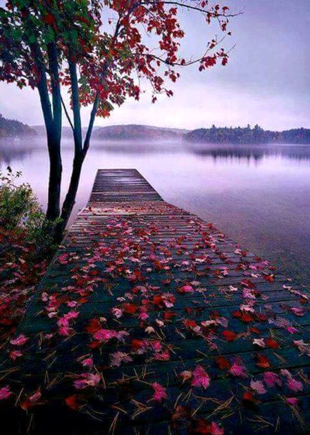 Beautiful Nature image