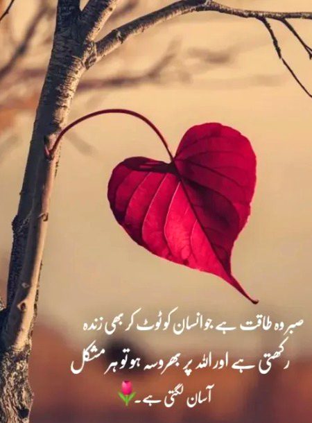 Islamic Quotes image