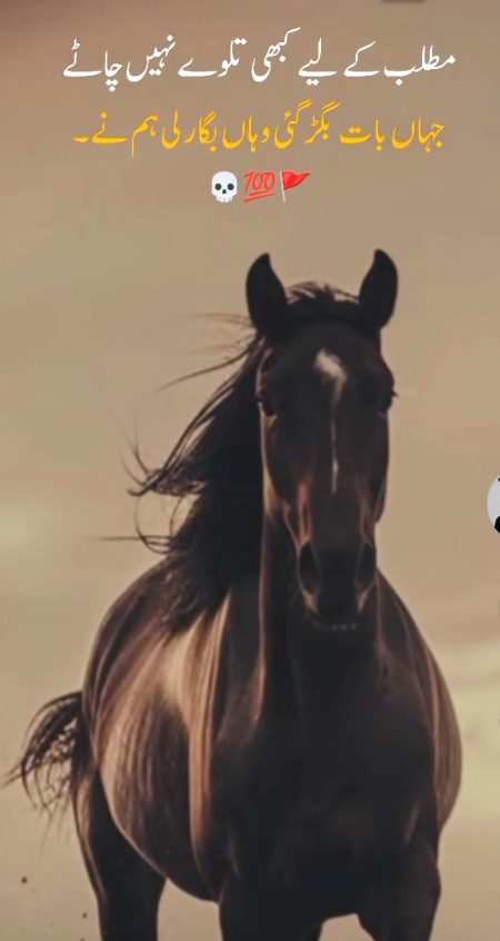 Attitude Poetry image