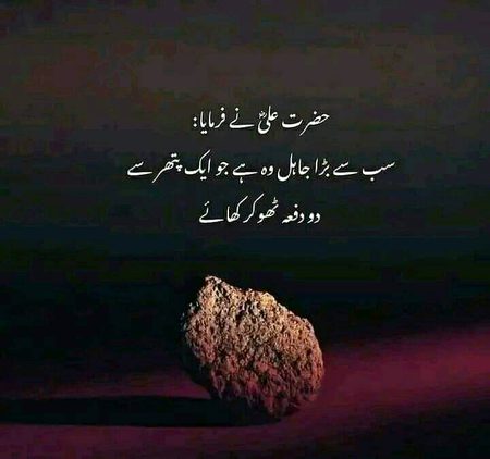 Islamic Quotes image