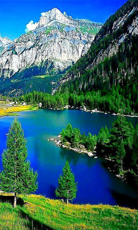 Beautiful Nature image