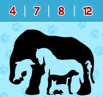 Riddles & Puzzles image