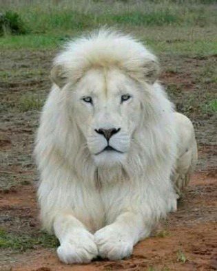 Beautiful Nature image