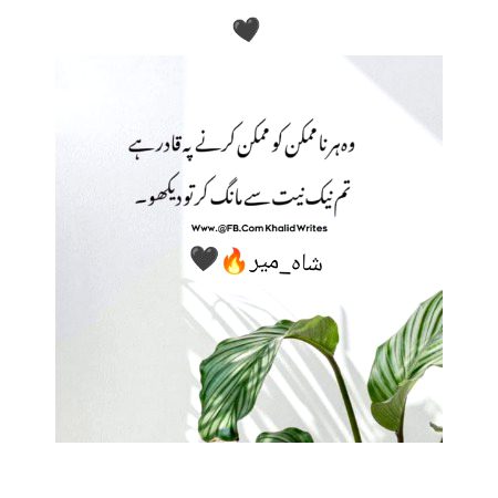 یقیناً انسان کی زندگی کا بدترین لمحہ وہی ہے جس میں وہ اپنی ذات کی صلاحیتوں پر شک کرتا ہے۔ 🌸🤍💯✨🥺
"شاہ_میر"🔥🖤