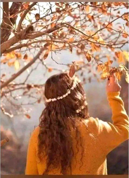 اگر تم لوٹ آؤ تو!
محبت جیت جائے گی
دسمبر ہار جائے گا...!!!
 🍁🍂deewana 🍁🍂