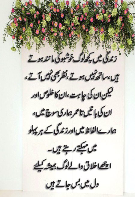 Asslam O Alaikum To All Sweet dd family 🌹