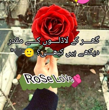 💕💗RoSe💕💗💕