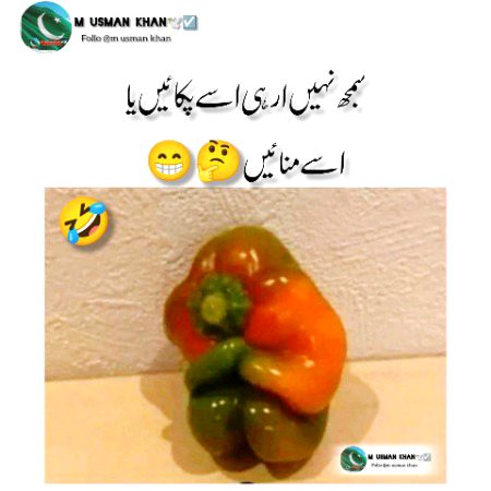 Memes & Satire image