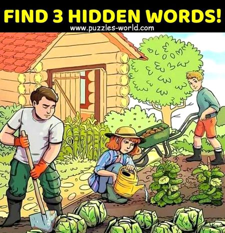 Find 3 hidden words