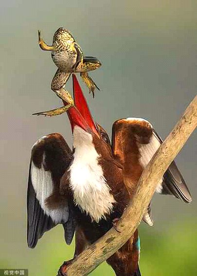 Beautiful Nature image