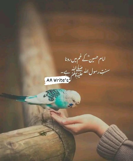 Islamic Quotes image
