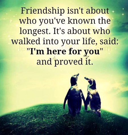 Life Qoute