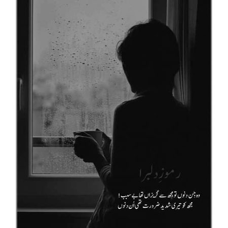 ہمیں اب کھو کہ کہتی ہے۔۔
مجھے تم یاد آتے ہو