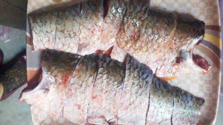 Kis kis nay fish kani ha .😋
