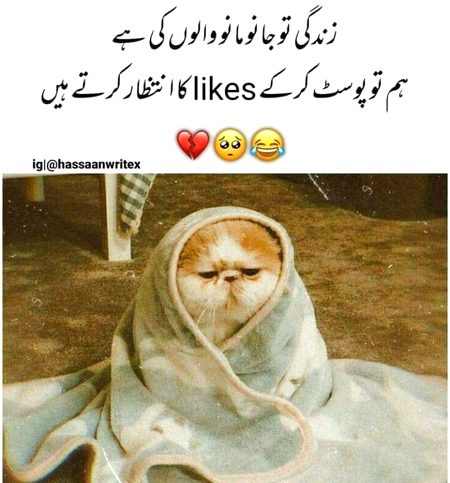 Jokes image