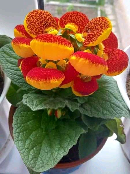 Beautiful Nature image