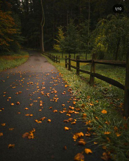 Beautiful Nature image