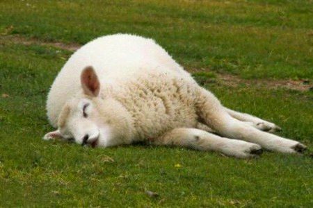 Beautiful Nature image