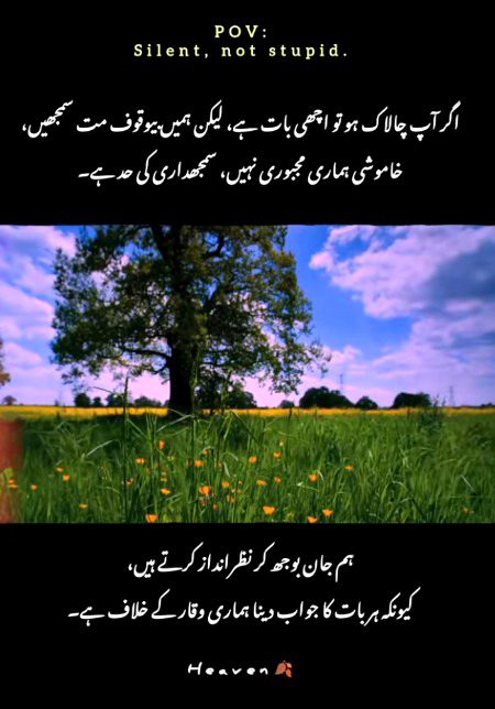 Attitude Quotes image