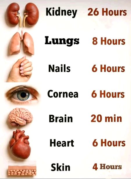 Health & Beauty image