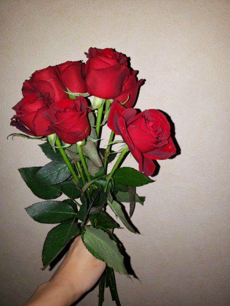 Beautiful Nature image