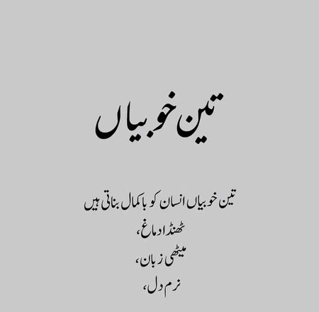 Islamic Quotes image