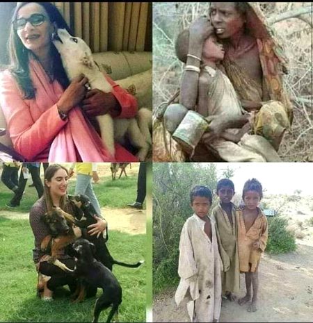 روٹی امیر شہر کے کتوں نے چھین لی
فاقہ غریب شہر کے بچوں میں بٹ گیا