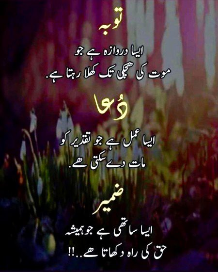 Islamic Quotes image