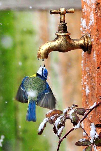 Beautiful Nature image